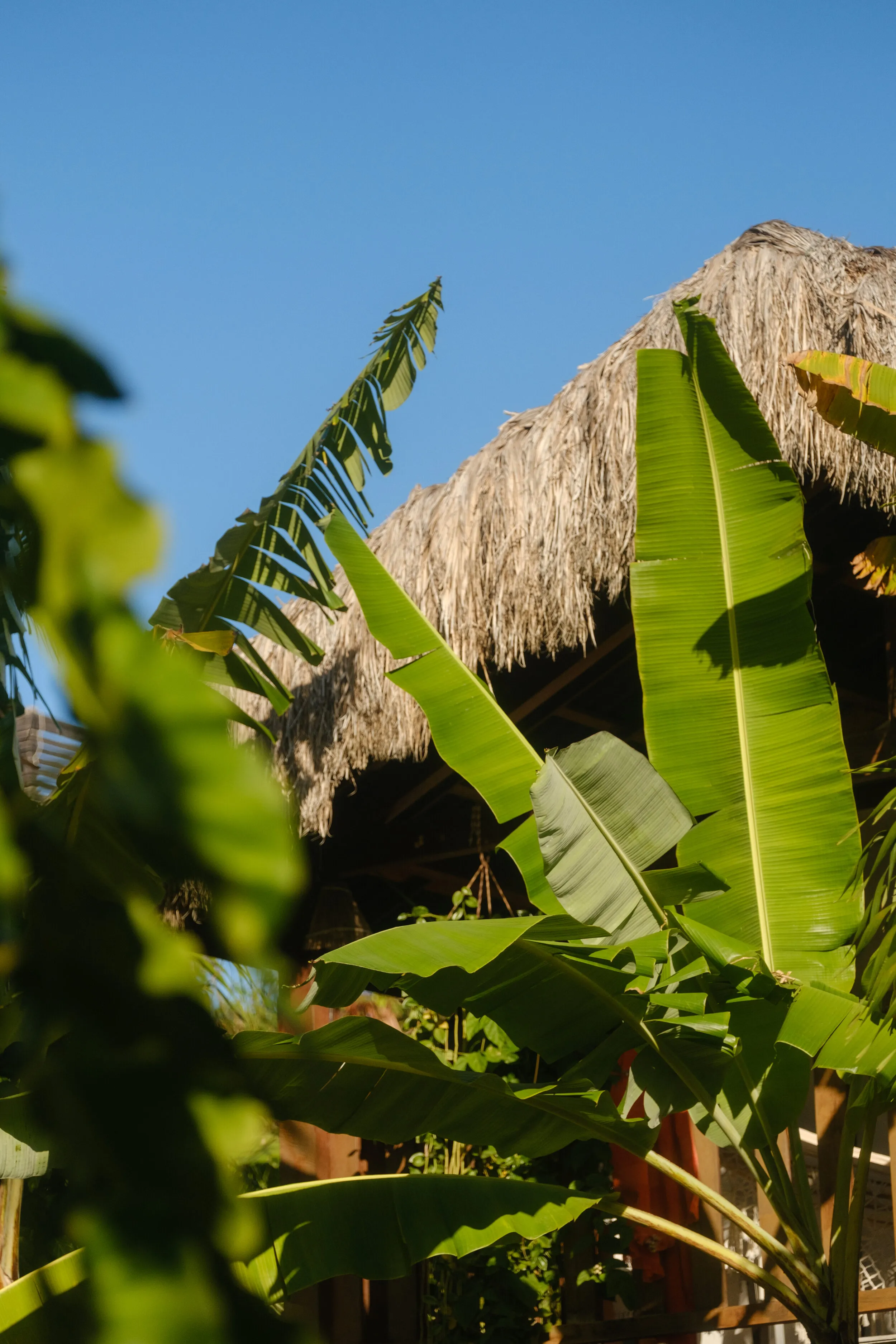 Pousada País Tropical — Icaraizinho de Amontada, Ceará